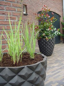 Tuin materiaal | Martijn van Os hovenier