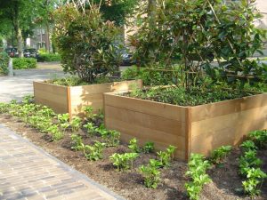 Tuin materiaal | Martijn van Os hovenier