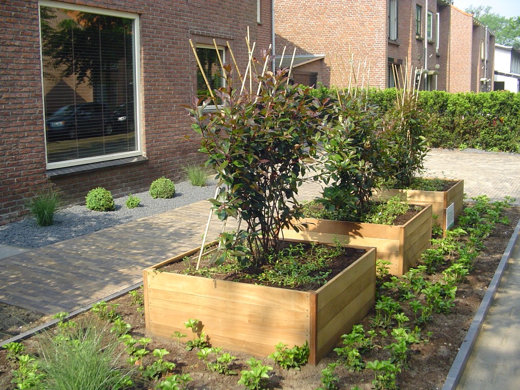 Tuin aanleg | Martijn van Os hovenier