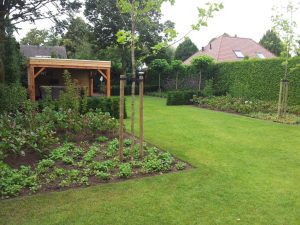 Tuin aanleg | Martijn van Os hovenier