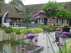 Onderhoud Martijn van Os Hovenier