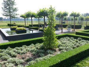 Onderhoud Martijn van Os Hovenier